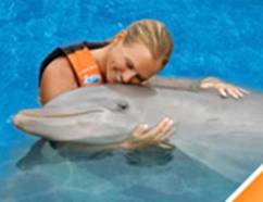 Galer&iacute;a Dolphin Swim Adventure + Ferry St. Thomas