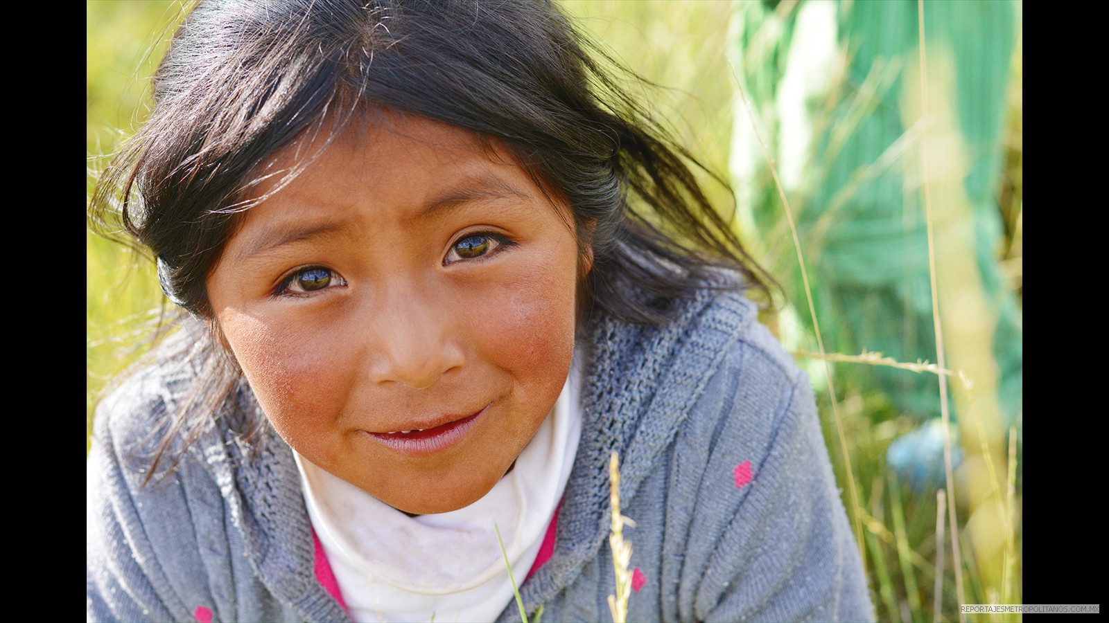 INDIGENAS MEXICANOS SOMETIDOS DESDE LA COLONIA.  MINDAHI BASTIDA