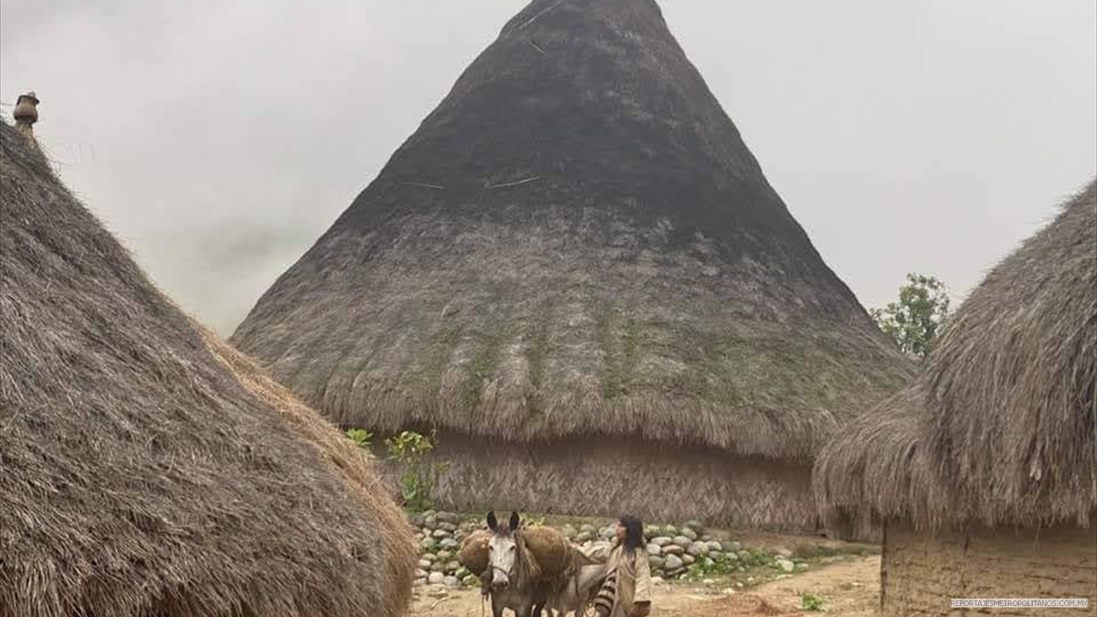 QUE PROTEGA LA VIDA Y LA NATURALEZA