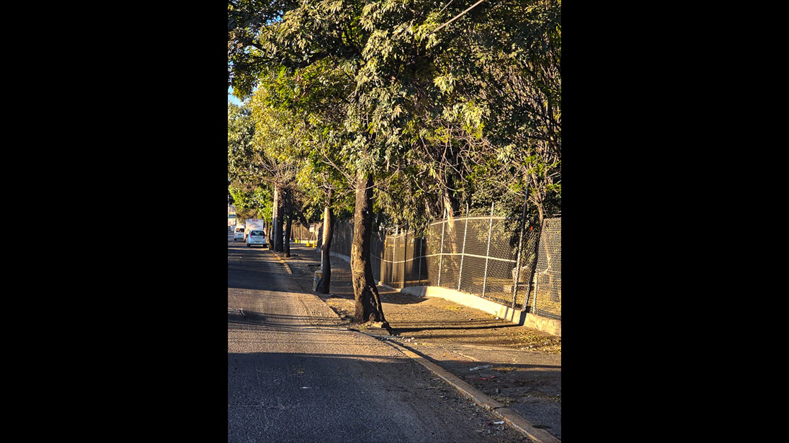 LA VIA MORELOS, LA R1 Y AVENIDA CENTRAL 