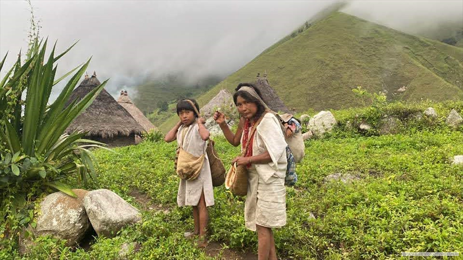 ETNIA EN COLOMBIA