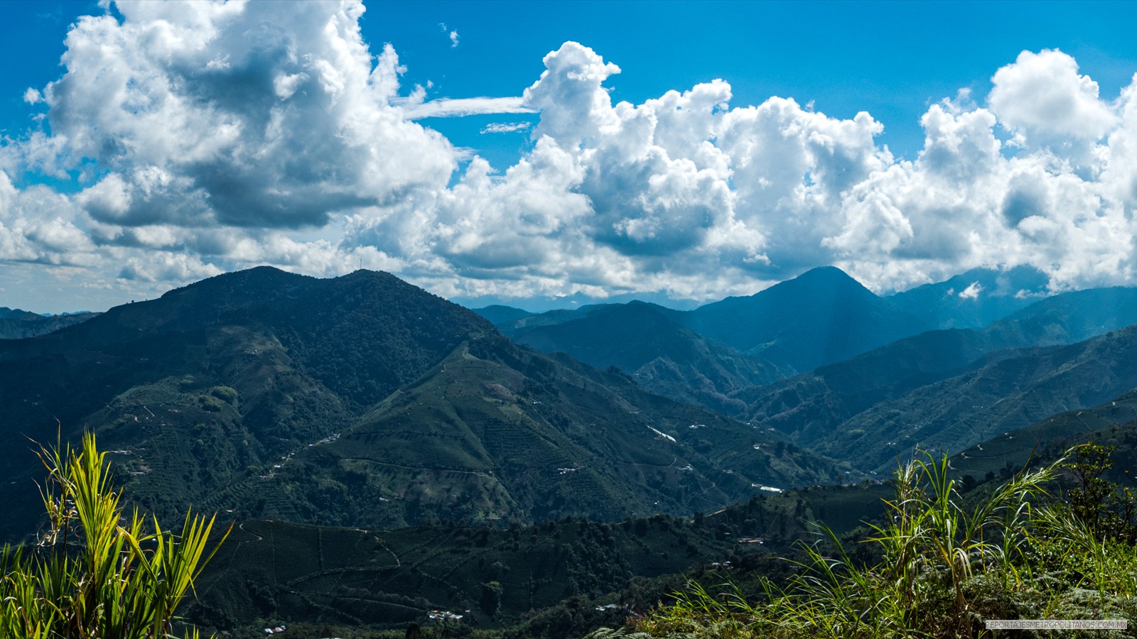 COLOMBIA