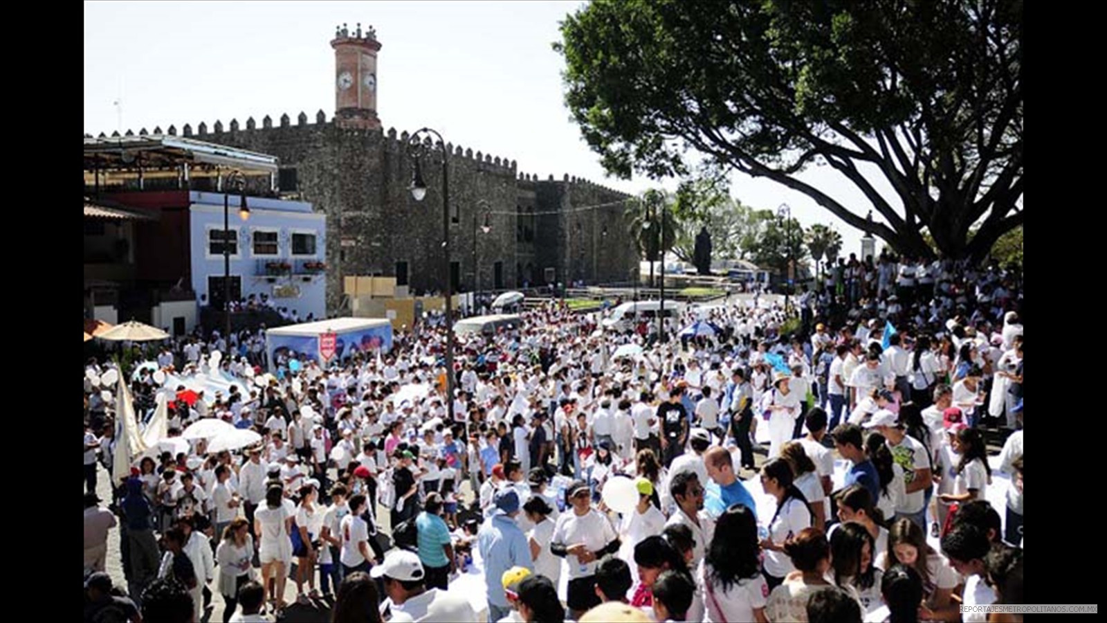   ABRAZOS NO BALAZOS ES COMPLICIDAD. OBISPO DE CUERNAVACA  