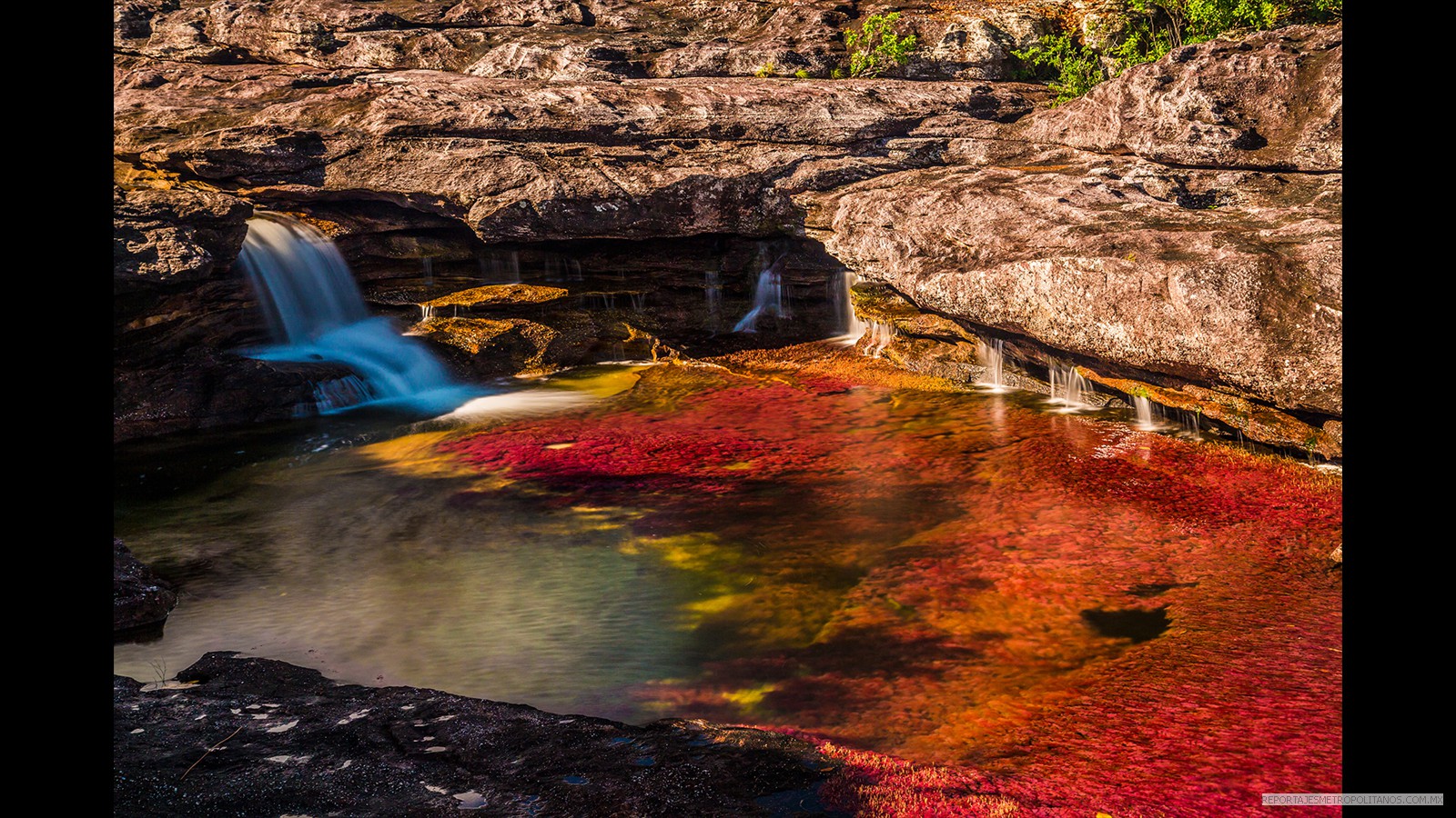 CAÑO CRISTALES