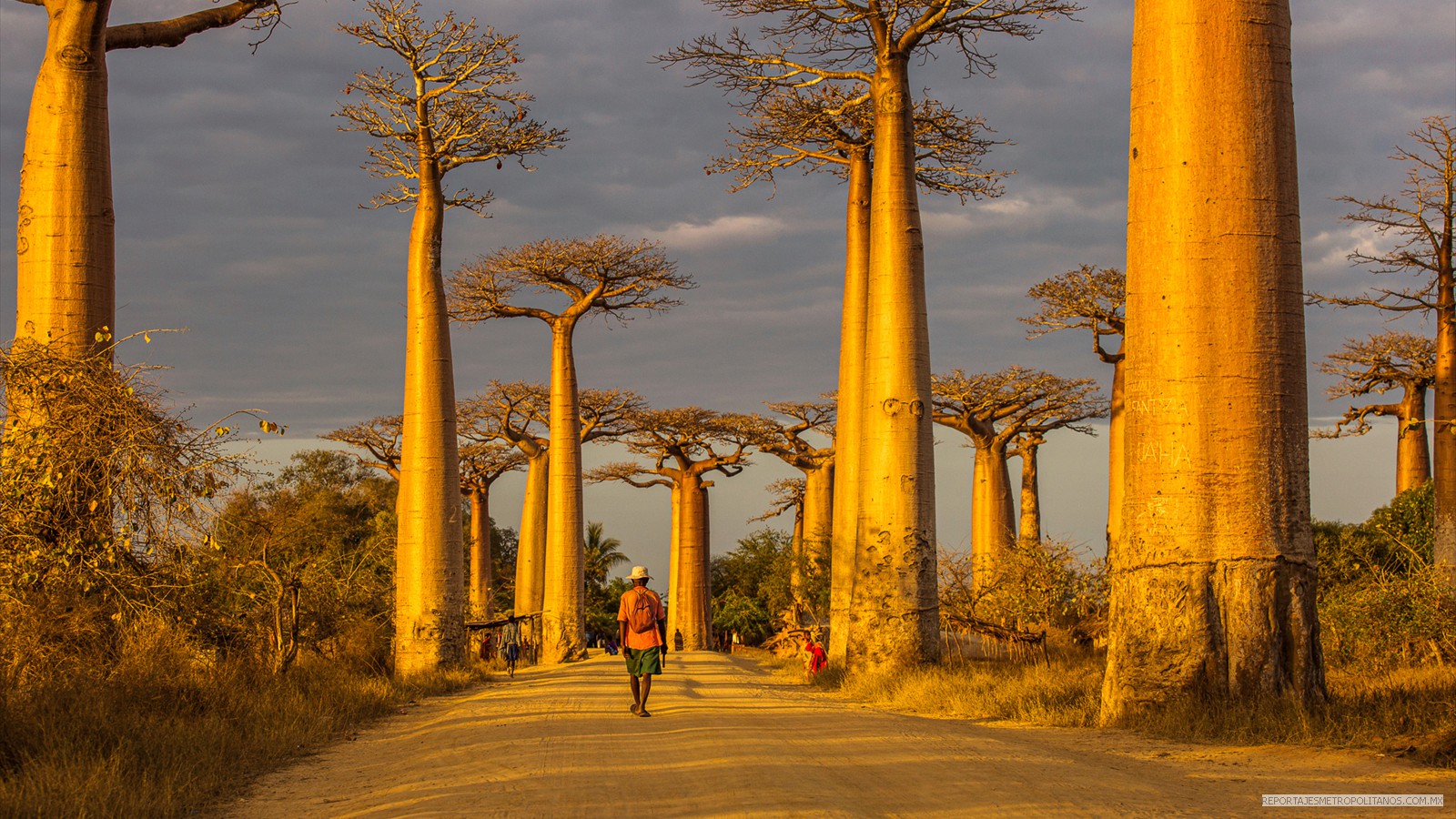 MADAGASCAR, AFRICA