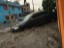 INUNDACIONES ECATEPEC 