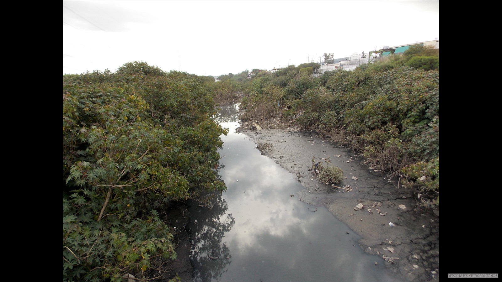 CANAL DE AGUAS NEGRAS NO FUE DESASOLVADO 