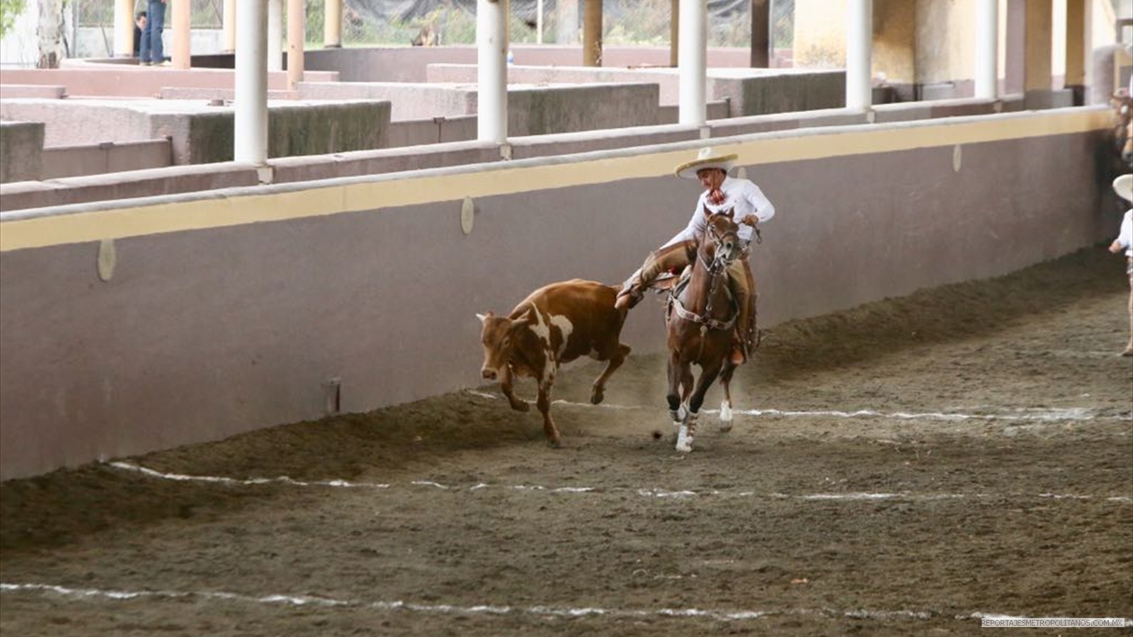  y cala de caballo