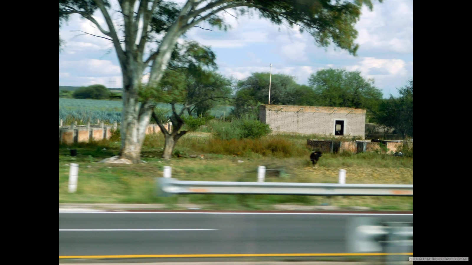 INCLUSO A DUEÑOS DE RANCHOS, COMO OCURRE EN JALISCO