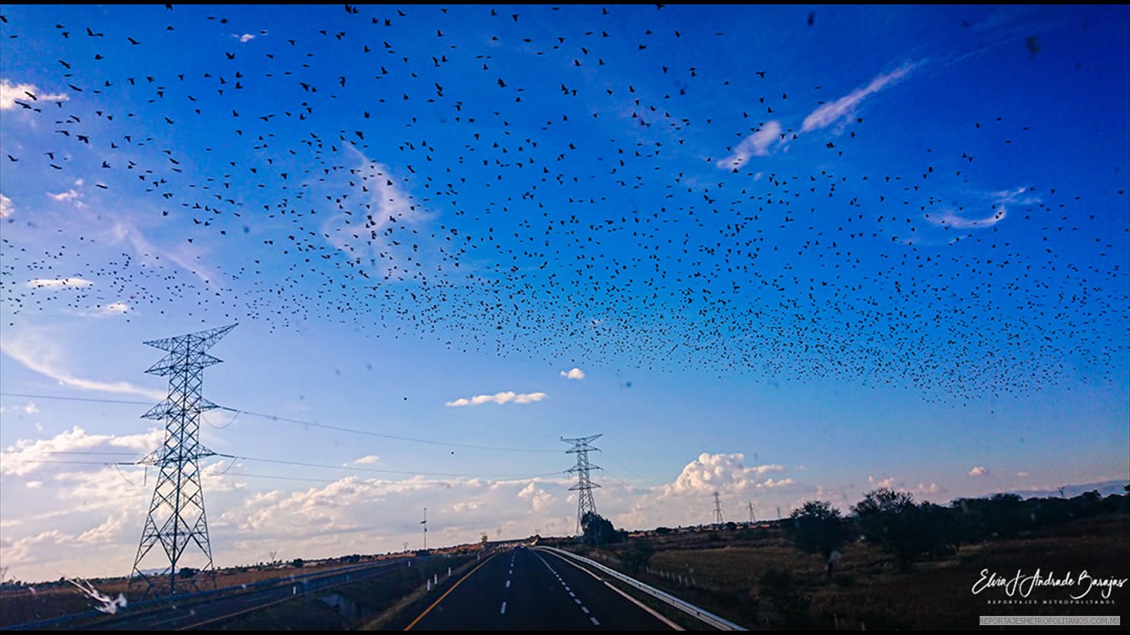 INSEGURIDAD EN LAS CARRETERAS