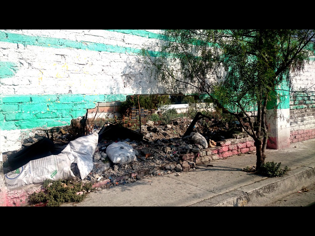 GUERRA DE BARDAS, AUN SOBRE LA BASURA 