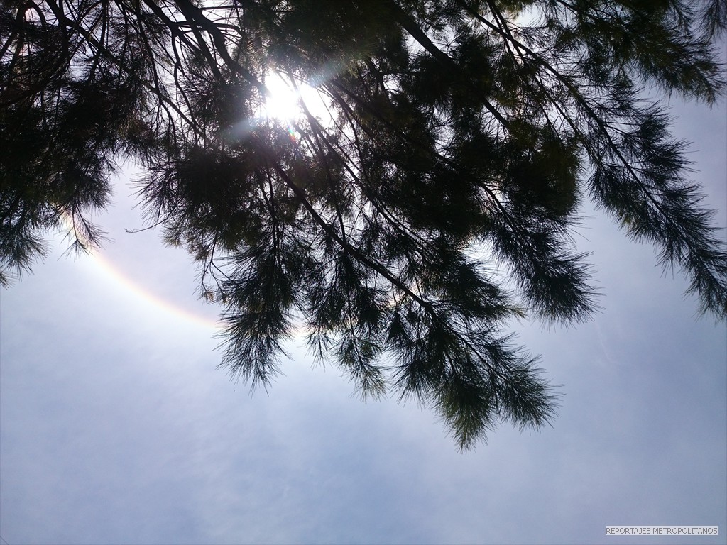 HALO DE LUZ ILUMINO MEXICO 