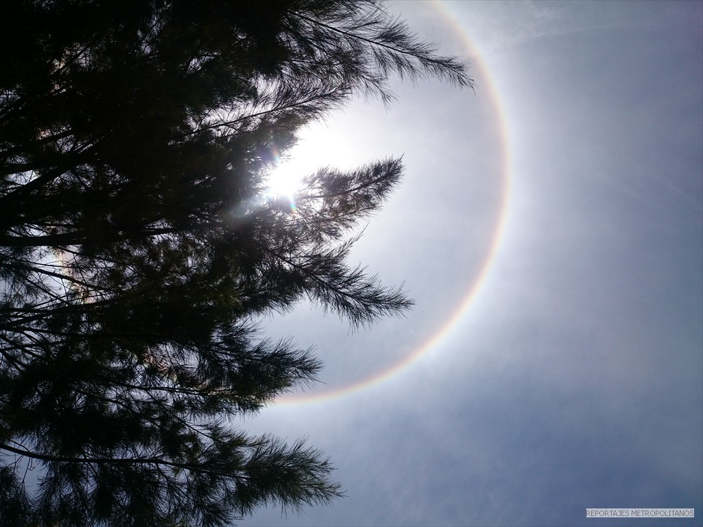 HALO DE LUZ ILUMINO MEXICO 