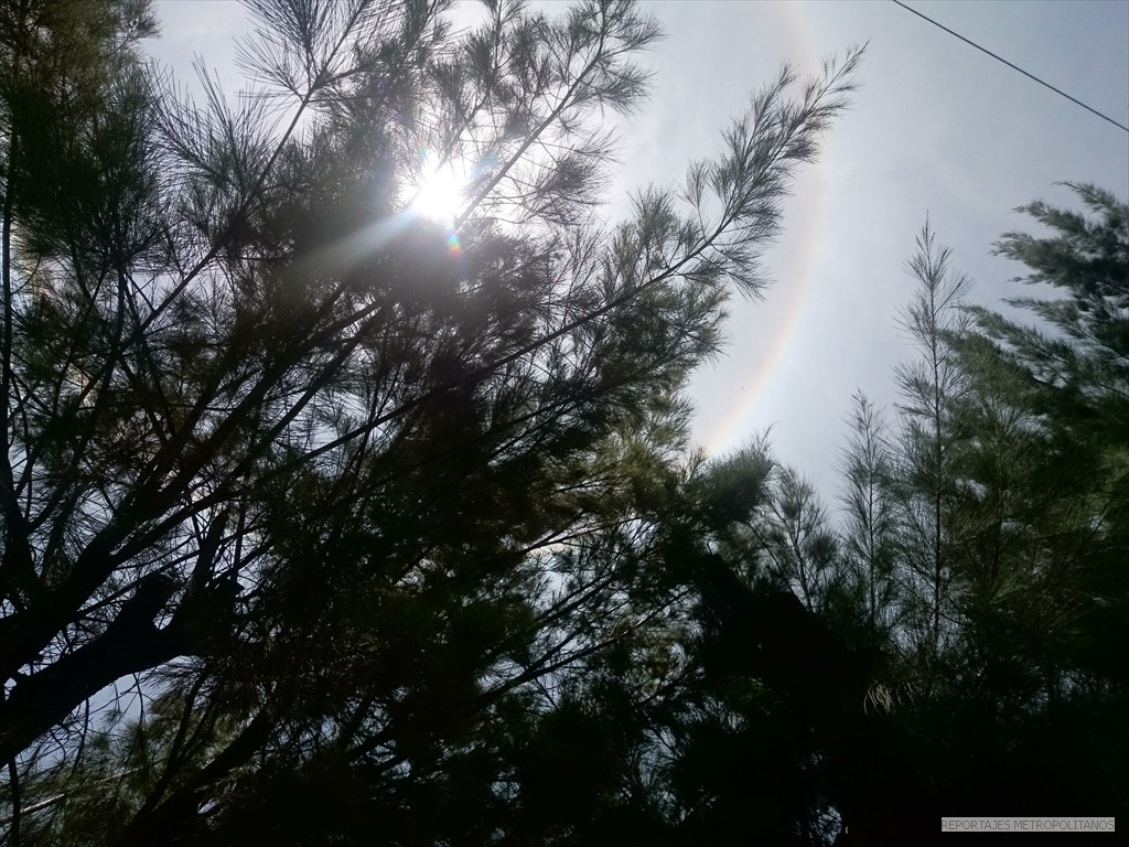 HALO DE LUZ ILUMINO MEXICO 