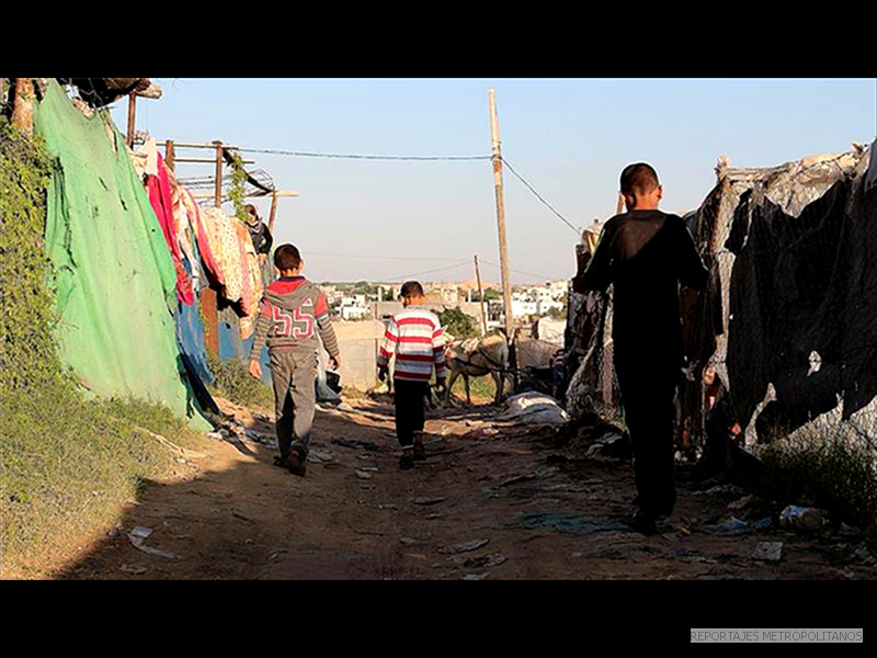 LOS NIÑOS TRABAJADORES DE GAZA, DEVASTADA POR ISRAEL